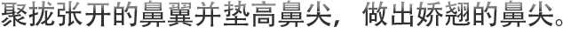 聚拢张开的鼻翼并垫高鼻尖，做出娇翘的鼻尖。
