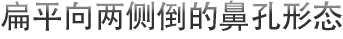 扁平向两侧倒的鼻孔形态