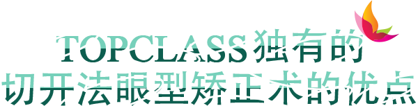 TOPCLASS 独有的 切开法眼型矫正术的优点