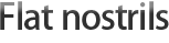 Flat nostrils